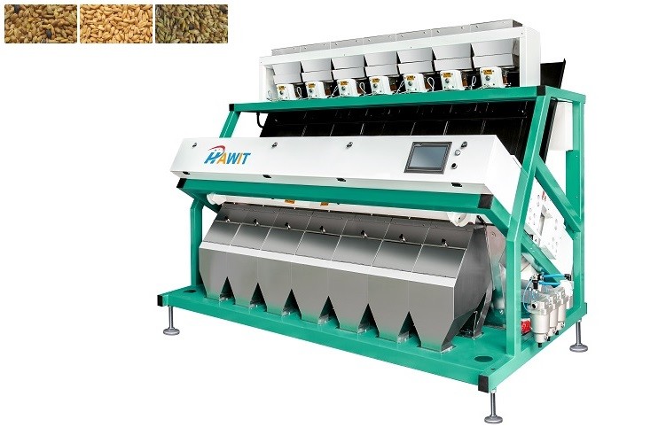 Máy tách màu lúa mì kỹ thuật số 2.4kw 1912mm 2.4kw